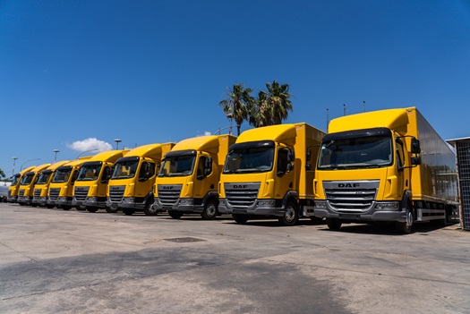 Logistica handling acquistati 30 DAF XB DSC00308