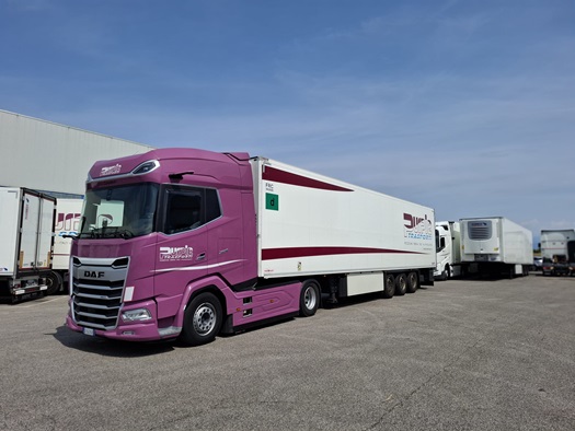 Purple-Trasporti-XG-480-1