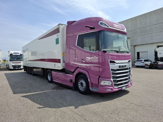 Purple-Trasporti-XG-480-1