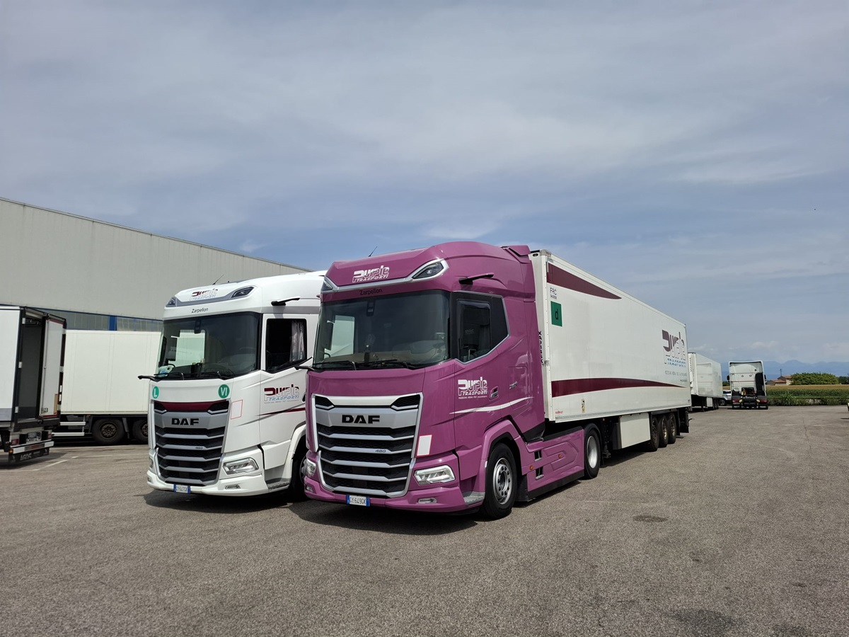 Purple-Trasporti-XG-480
