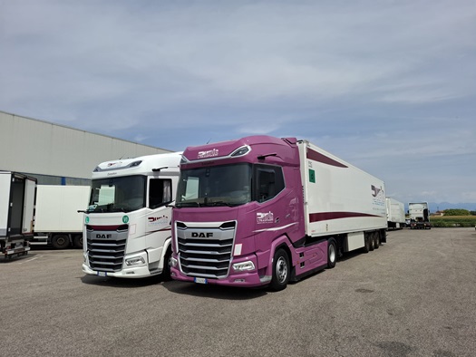 Purple-Trasporti-XG-480