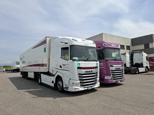 Purple-Trasporti-XG-480