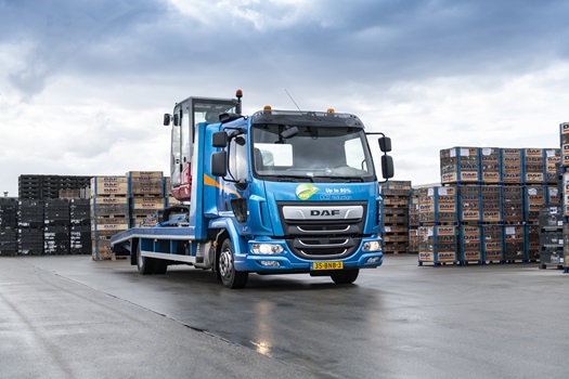 01-DAF-LF-210-FA-4x2-12t